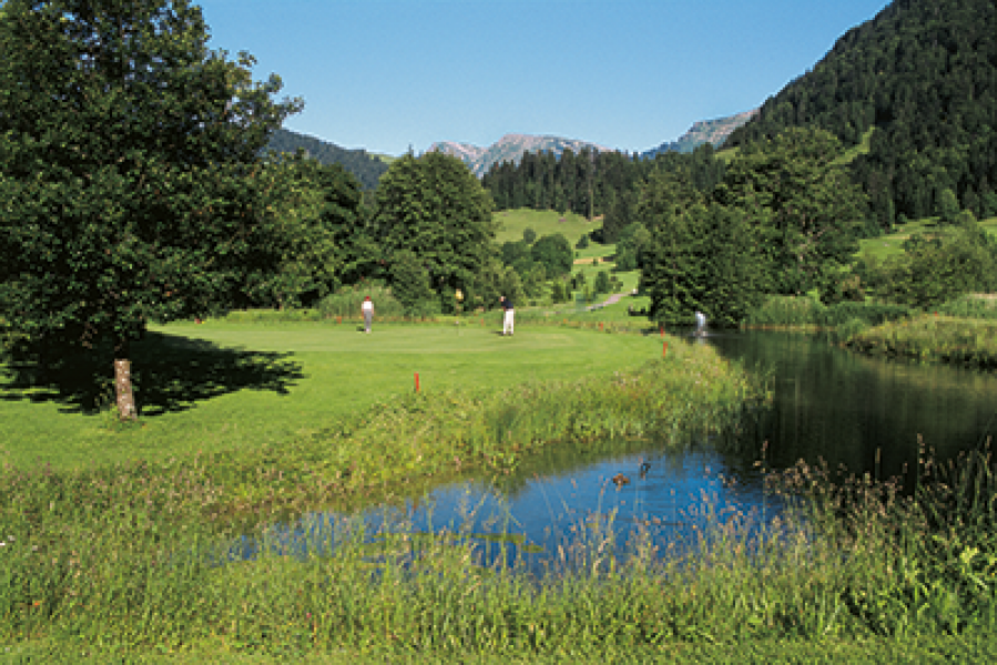 Allgau Sonne Golf Steibis6