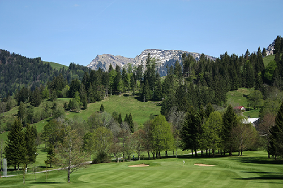 Allgau Sonne Golf Steibis7