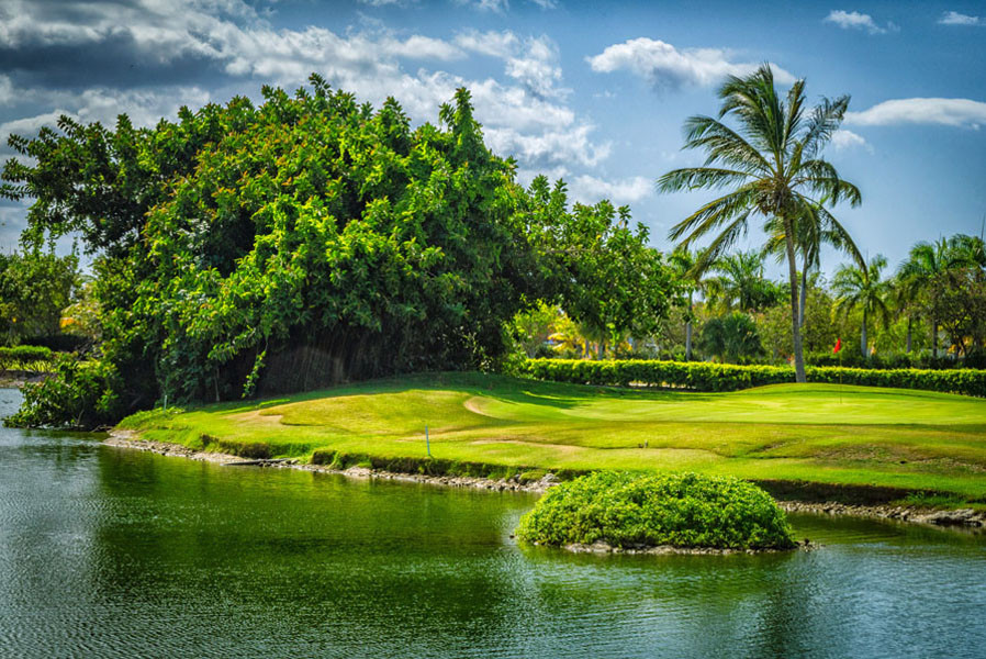 Cocotal Golf