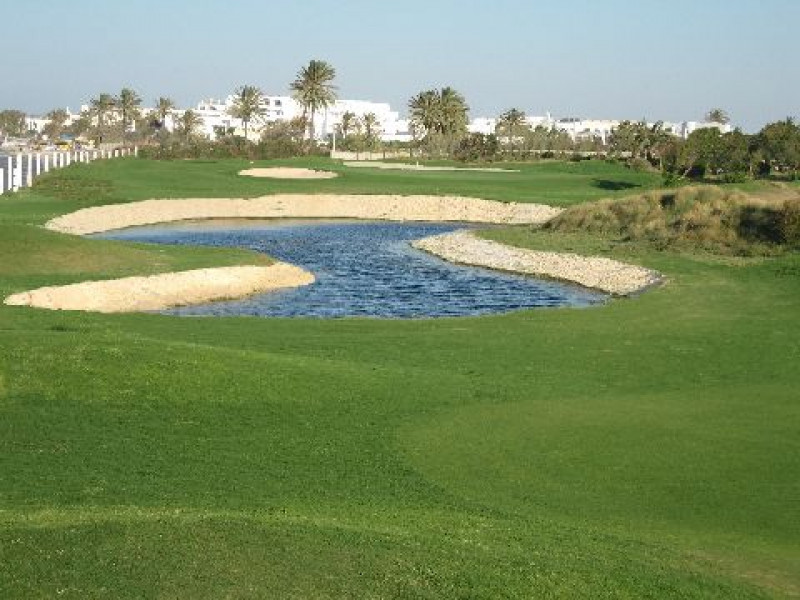 palm links golf