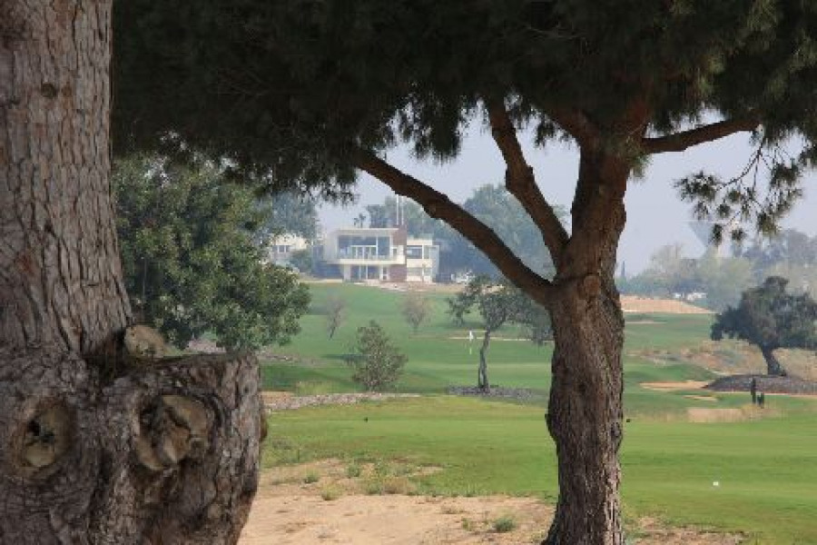 Caesarea through the trees0094