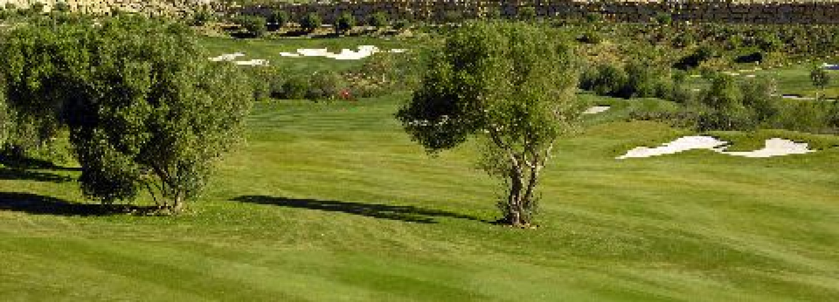 Finca Cortesin 5