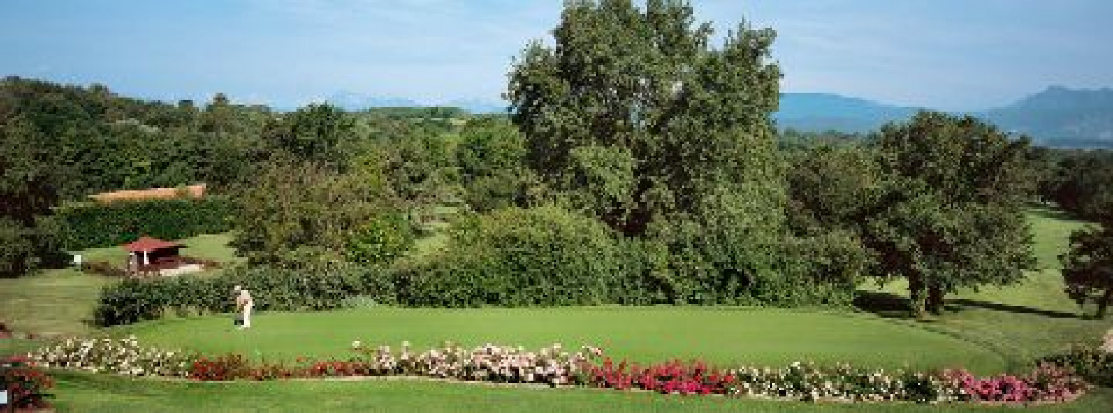putting green