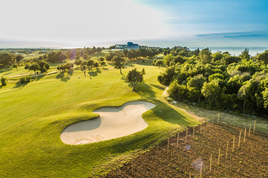 golf adriatic 2 novi vinograd