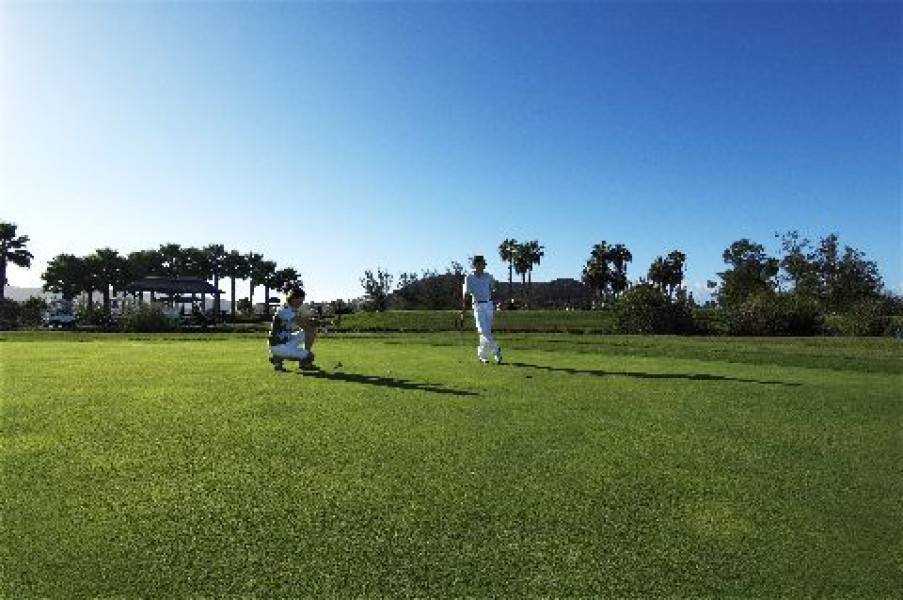 GOLF