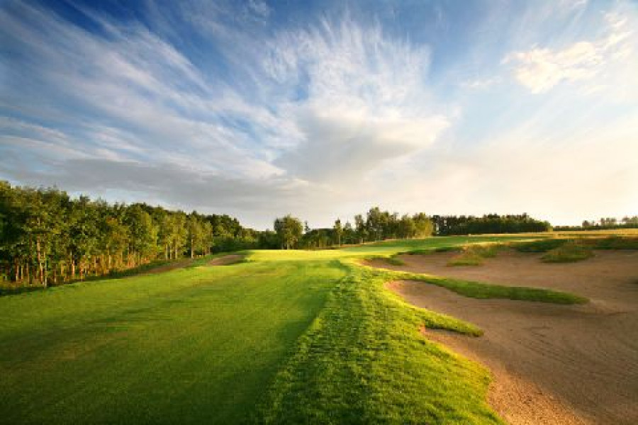 LubkerTrees.Bunkers
