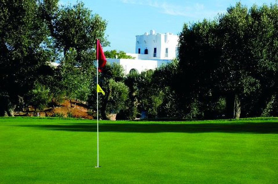 golf course8