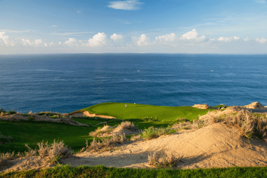 5gren golfer quivira bottom