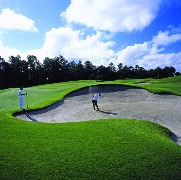 newRCSARAS00168121814