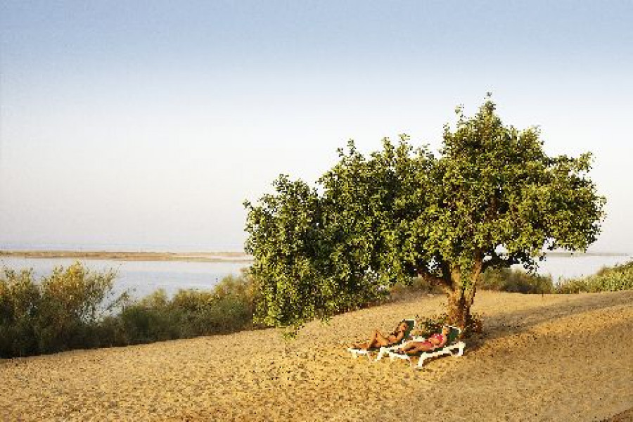 qr58 2621rc