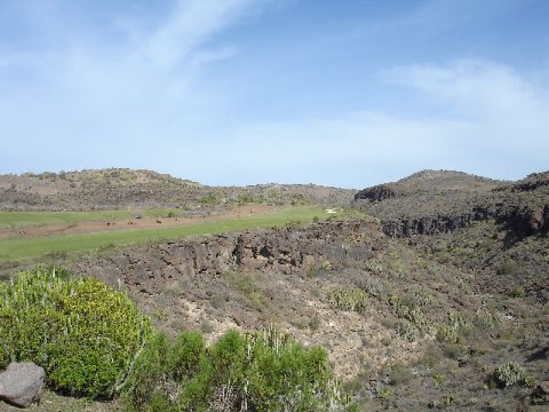 dsc03120