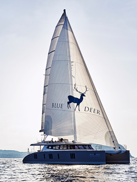 1509 BLUE DEER 1435