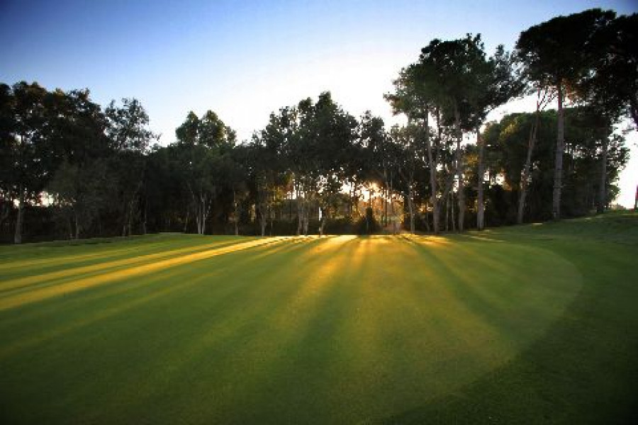 Sueno 8th Dunes