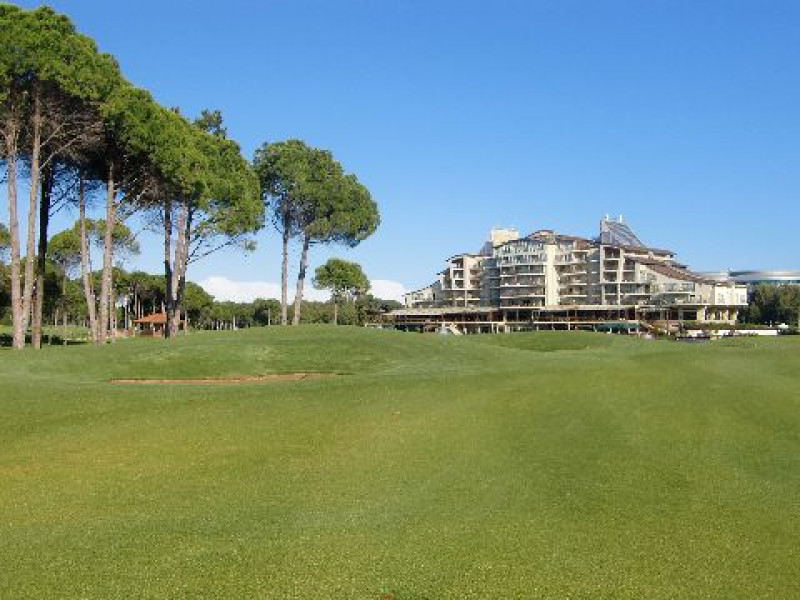 Sueno Pines 5