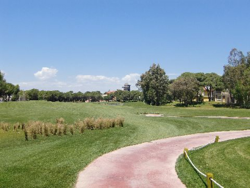 Montgomerie 4