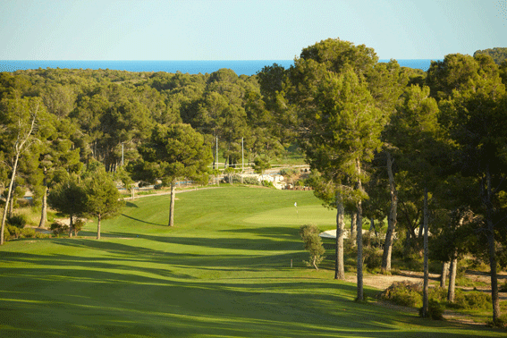 LUMINE Hills Course