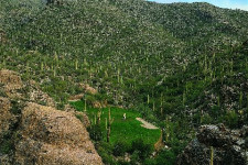 3rd Hole Mountain Course