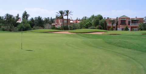 marrakesch green12 print