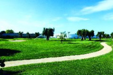 golf course 7