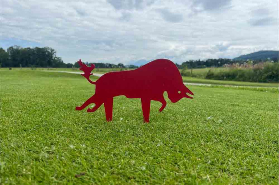 Abschlag Stier GC Salzburg Eugendorf