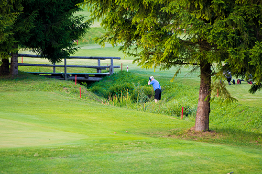 BBON TOUR Ballsuche im Wasserhindernis shutterstock 669390775
