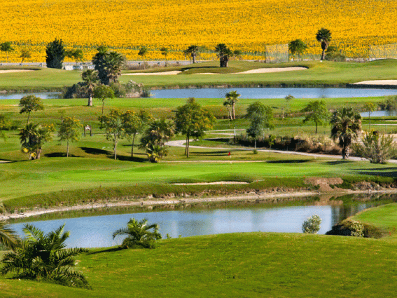 Sherry golf025