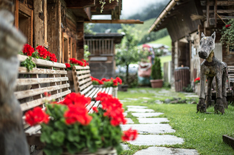 CS 20150729 unterschwarzach sommer 83