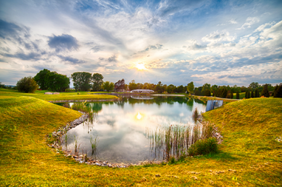 Copyright Diamond Country Club 3