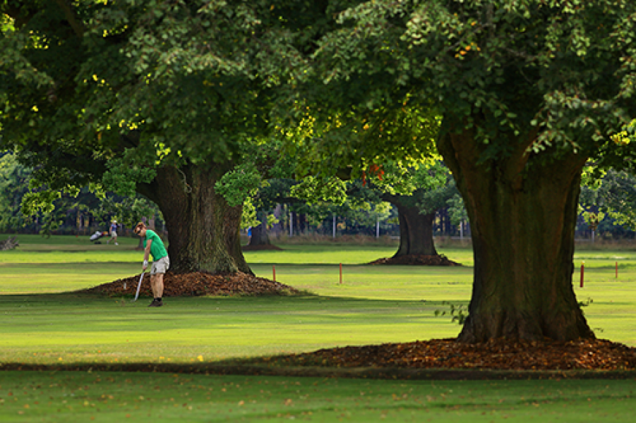 golf resort bechyne 1