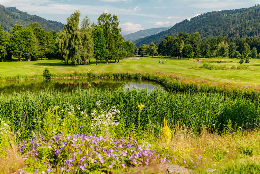 TV Murtal Golf WSpekner0724 106