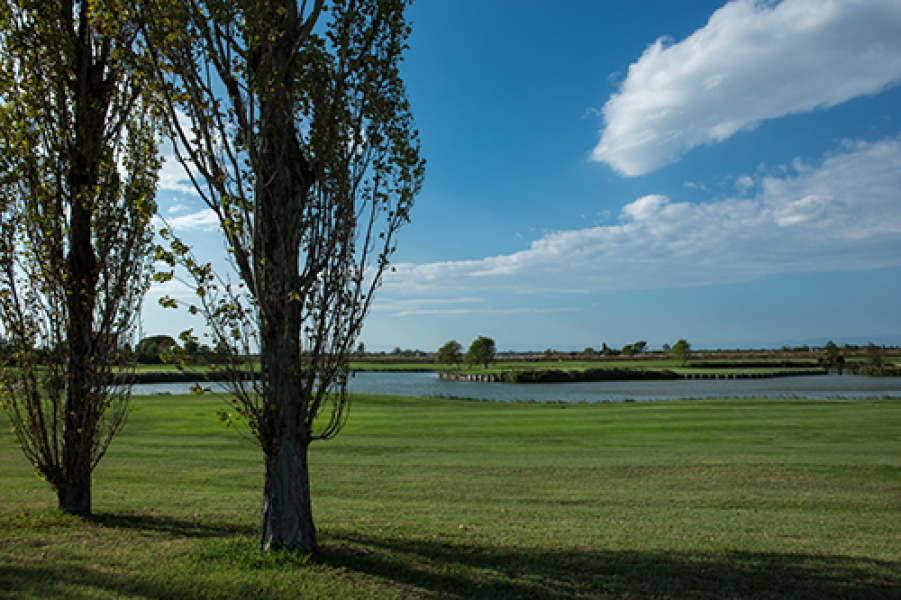 117Golf Gradoarchivio promoturismofvg