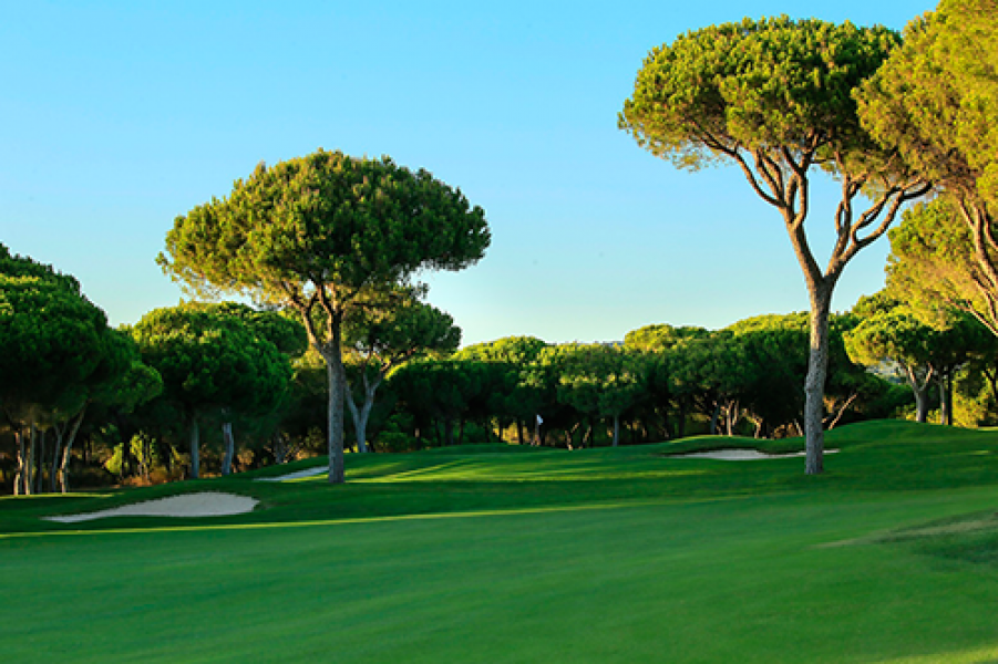 Millennium Golf Course 4th hole2