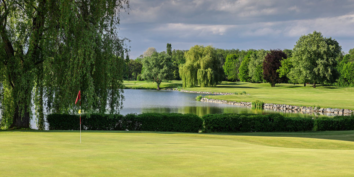 GM.13.05.25.PM.MKIV.17.24x12