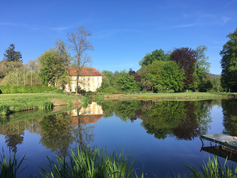 Bild GC v. Gerkon