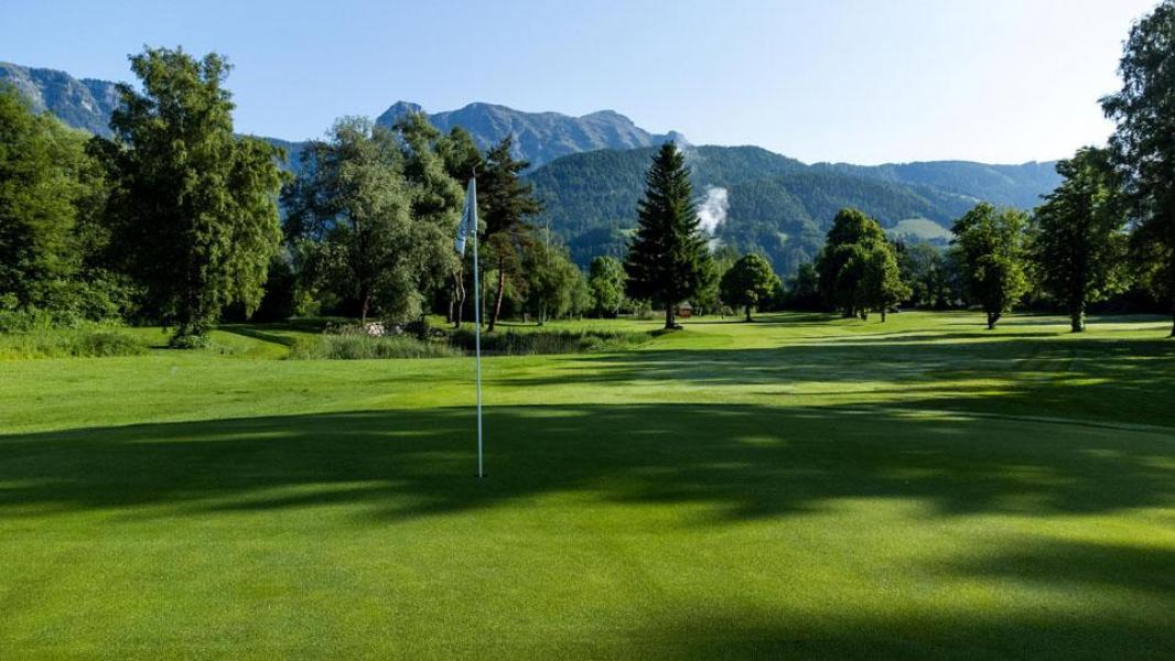 Green 8 Morgenstimmung mittel