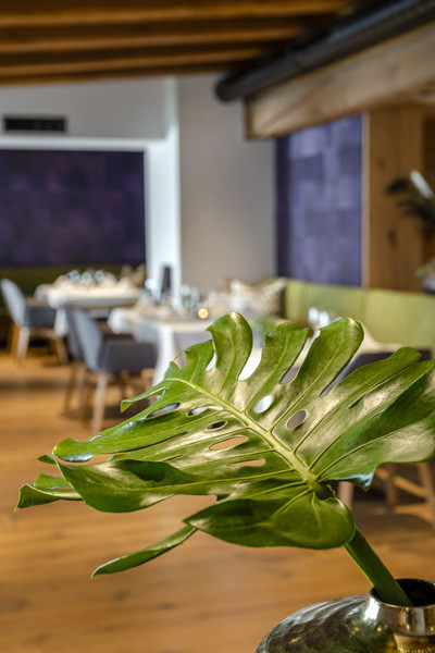 high res derbaer 0720 4050