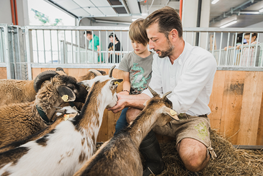 klosterbraeu sigis sauhaufen juli 2021 DavidJohansson 9055 print