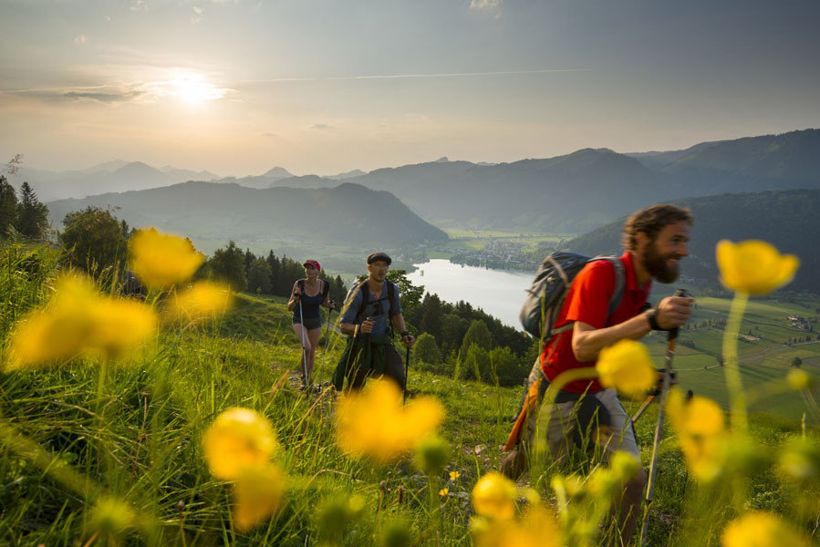 Kaiserwinkl Urlaub Aktivitaeten Wandern Walchsee Sommer Sommerwandern 13