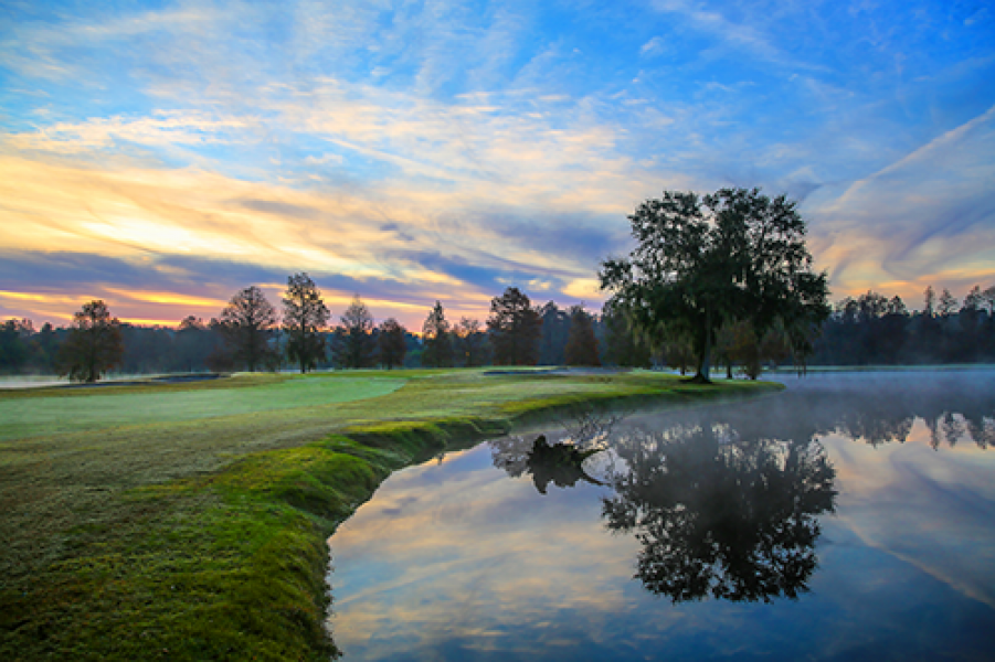 Innisbrook Island Course