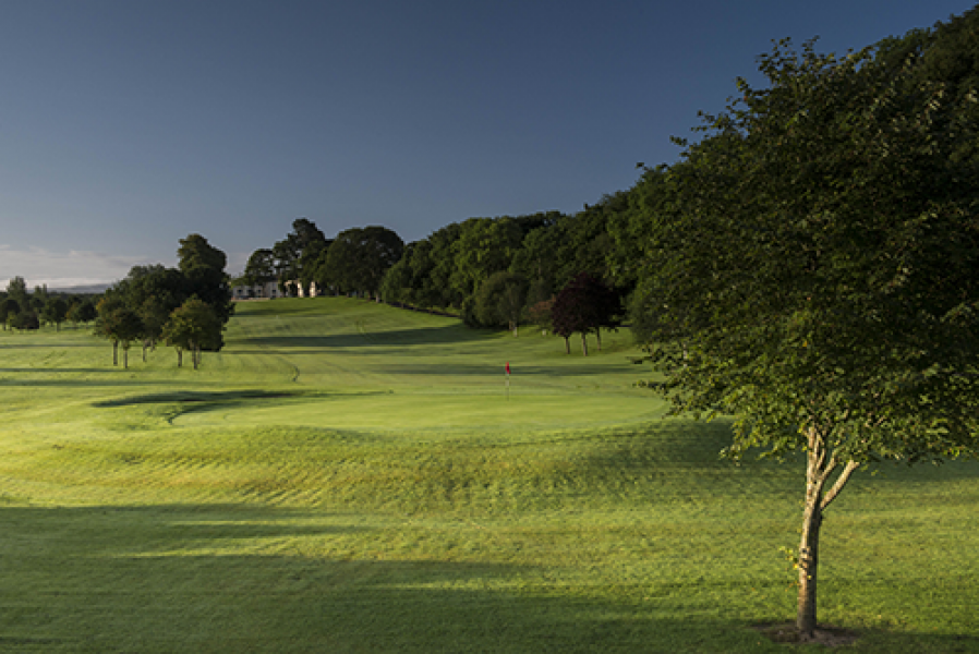 Roe Park Resort Golf 1