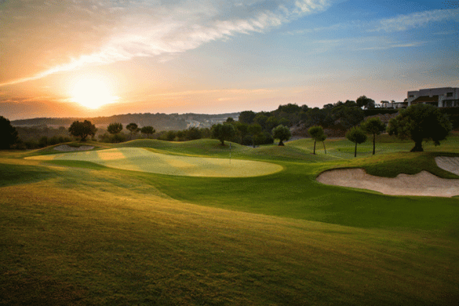 Las Colinas 8th 2870 revised 