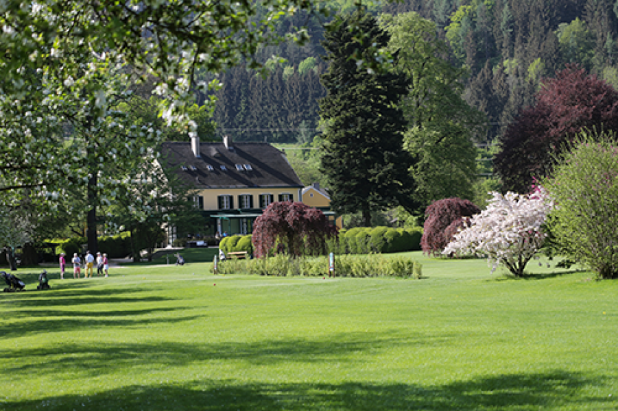 GEPA full 9462 GEPA B53K7970 edit