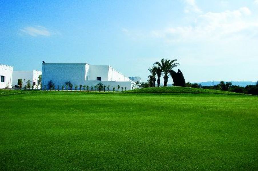 golf course11