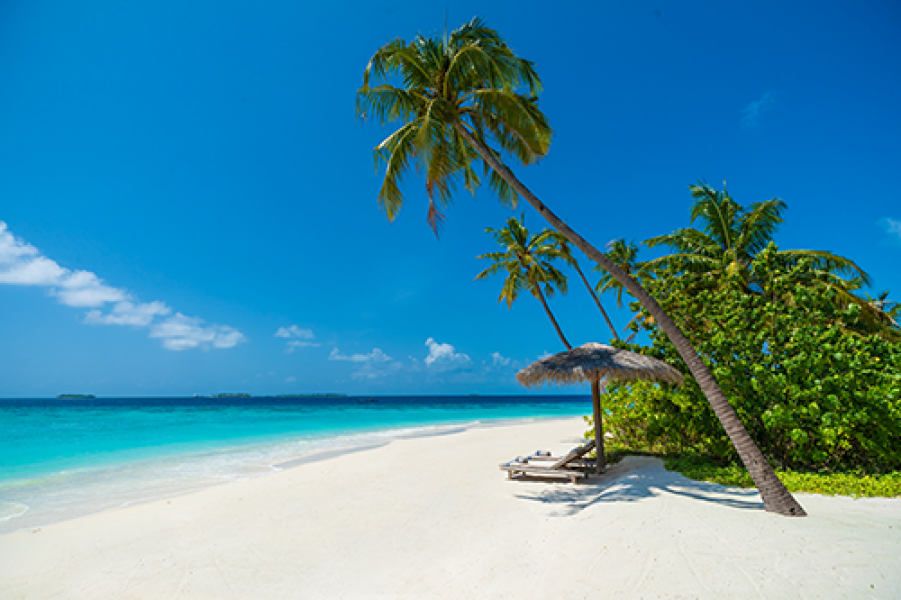 Milaidhoo Maldives Beach Pool Villa Beach 1