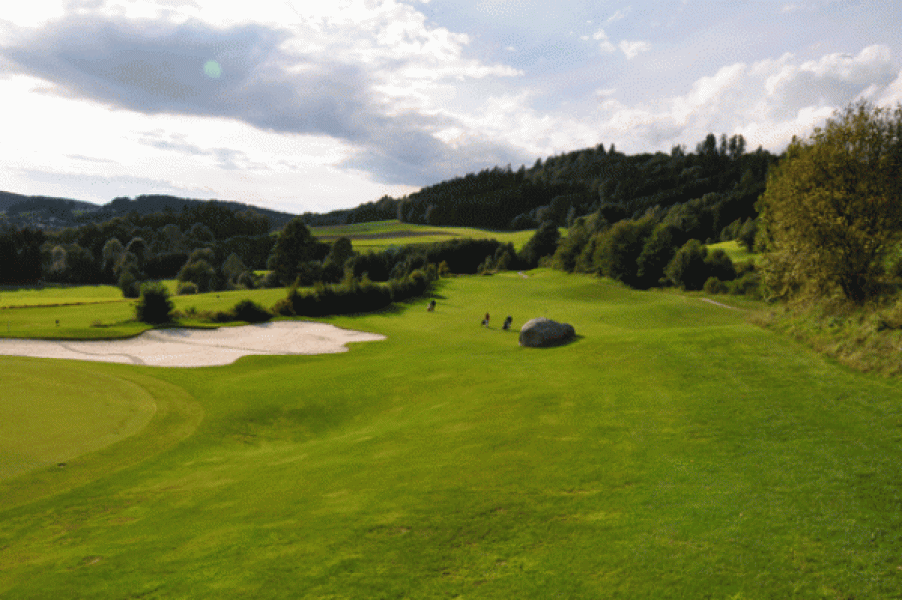 GC Oswald Tee 18