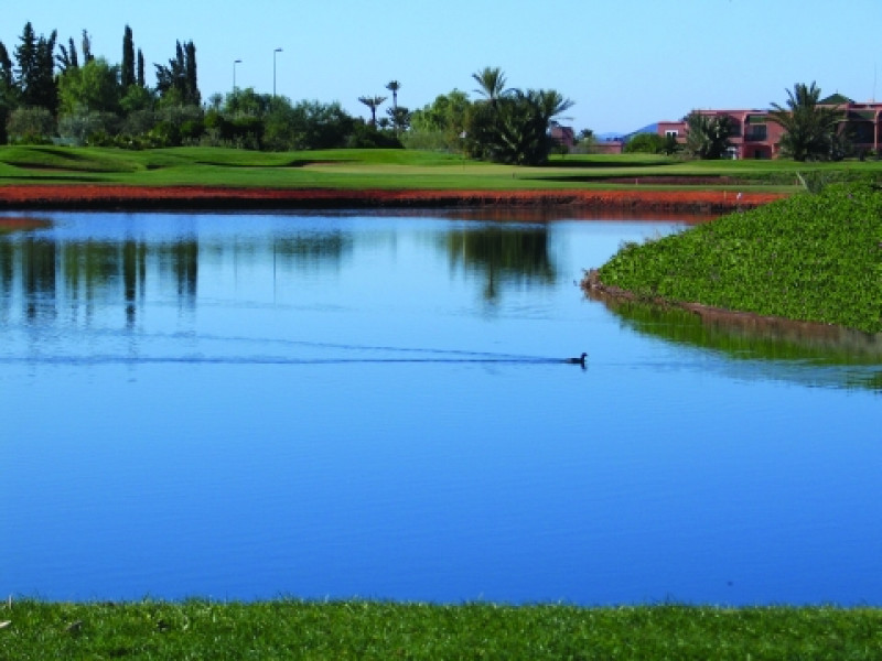 palmeraiae golf palace hotel