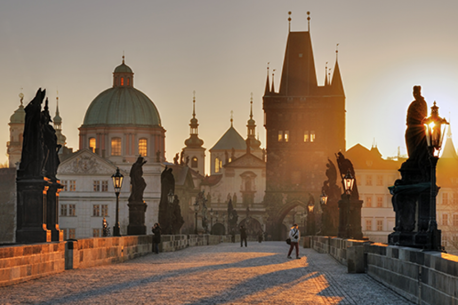 VEDA 005 praha Dagmar Veselkova2