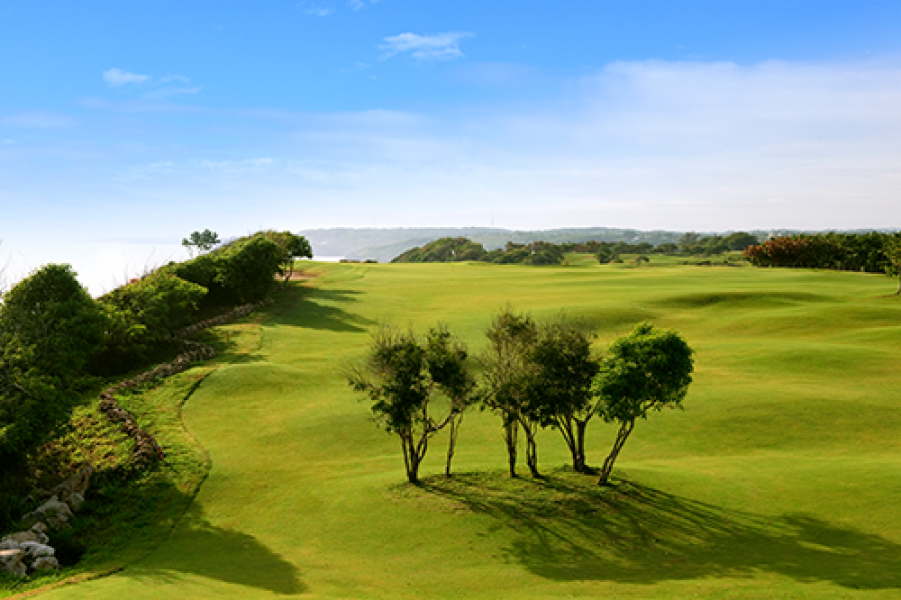 06 Royal Isabela 14H Tee Shot
