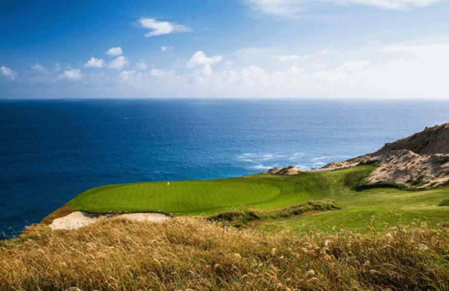 5green1 quivira