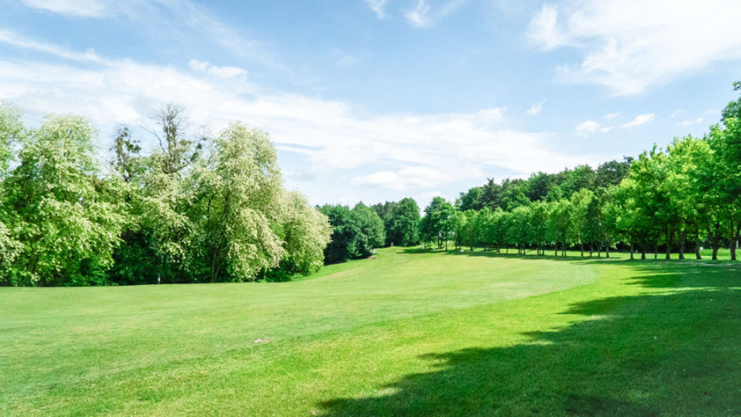 Golfschaukel 42